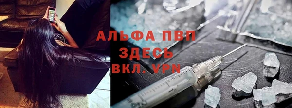 молекула духа Сатка