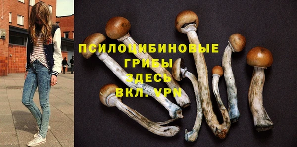 молекула духа Сатка