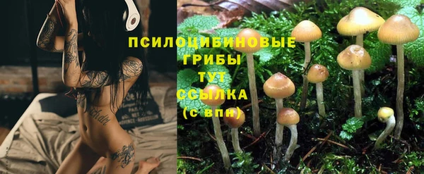 MDMA Сафоново