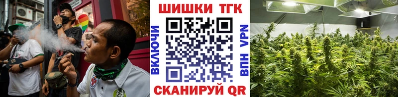 Бошки марихуана сатива  Купить закладки  Тайга 